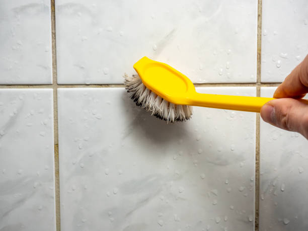 Best Water Damage Restoration  in Edisto, SC