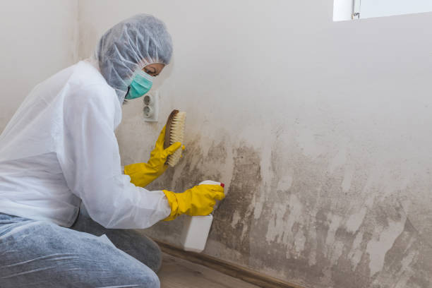 Water Damage Restoration in Edisto, SC