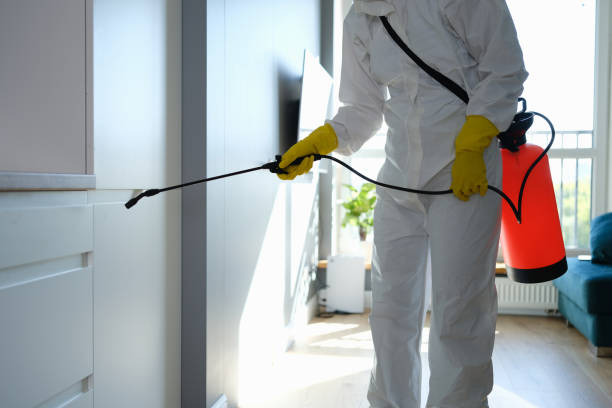 Best Office Mold Removal Services  in Edisto, SC
