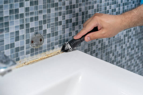 Best Mold Testing  in Edisto, SC