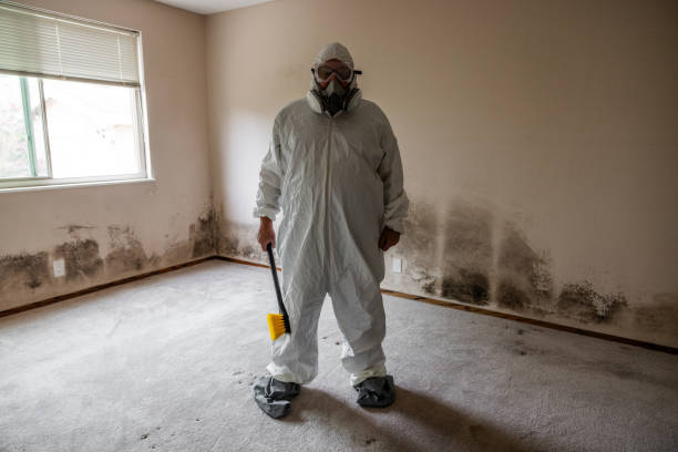 Best Commercial Mold Removal  in Edisto, SC